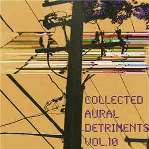 Various - Collected Aural Detriments Vol. 10