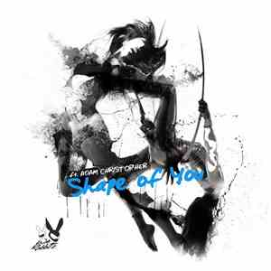 We Rabbitz Ft. Adam Christopher  - Shape Of You