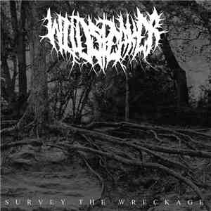 Wildspeaker - Survey The Wreckage