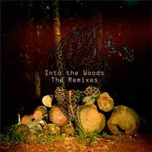 Ethernet - Into The Woods - The Remixes