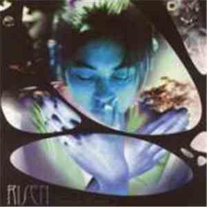 Various - Risen - A Different Drum Label Sampler