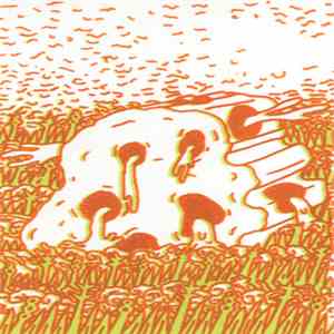 Debt Of Nature - Salt Meadows