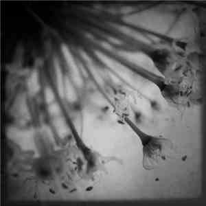 Field Rotation - Acoustic Tales