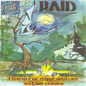 R.A.I.D. - Remains Aggressions In Darkness