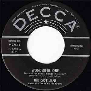 The Castilians - The Sheik Of Araby / Wonderful One
