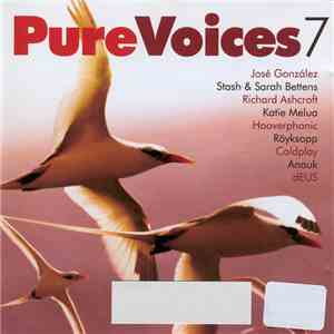 Various - Pure Voices 7