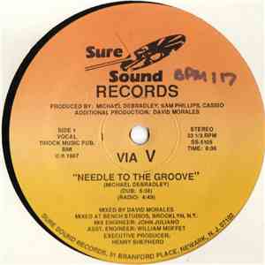 Via V - Needle To The Groove