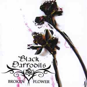 Black Daffodils - Broken Flower