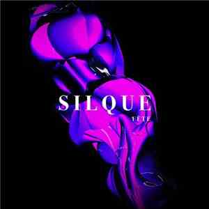 Silque  - Fête