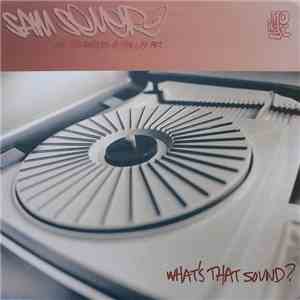 Sam Sever And The Raiders Of The Lost Art - What's That Sound?