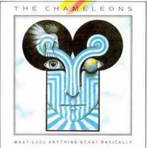 The Chameleons - What Does Anything Mean? Basically