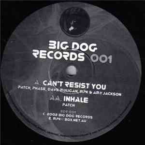 Various - BigDog Records 001