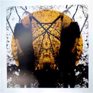 Austra - Feel It Break
