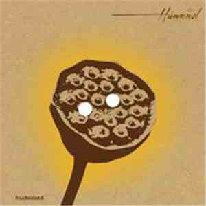 Hummmel - Fruchtstand
