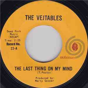 The Vejtables - The Last Thing On My Mind