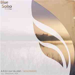 A.R.D.I Feat Allam - Nevermore
