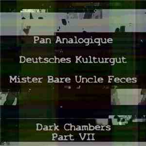 Pan Analogique / Deutsches Kulturgut / Mister Bare Uncle Feces - Dark Chambers Part VII