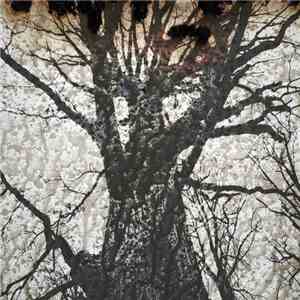 Reflections From Nowhere - Metallic Purgatory