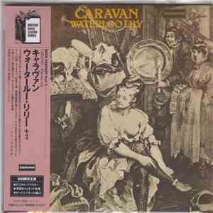 Caravan - Waterloo Lily