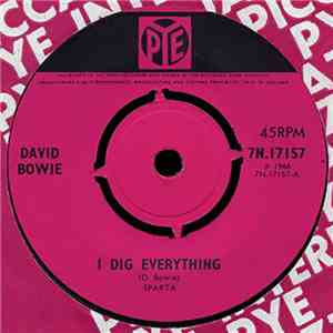 David Bowie - I Dig Everything