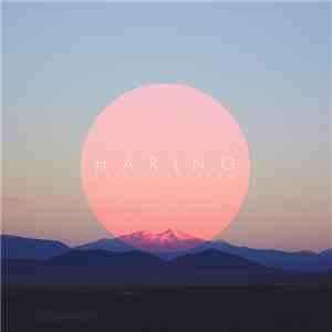 Haring - Late Night Dream