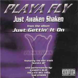 Playa Fly - Just Awaken Shaken
