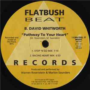 B. David Whitworth - Pathway To Your Heart