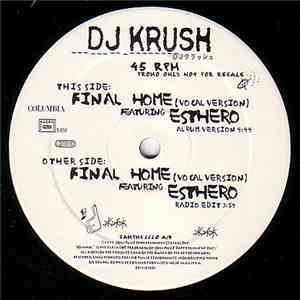 DJ Krush = DJ クラッシュ Featuring Esthero - Final Home (Vocal Version)