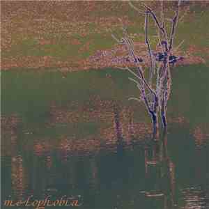 Melophobia  - The 13th Unfulfilled Hibernation