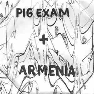 Pig Exam + Armenia - Untitled