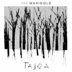 The Marigold  - Tajga