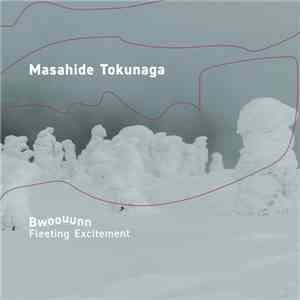 Masahide Tokunaga - Bwoouunn: Fleeting Excitement