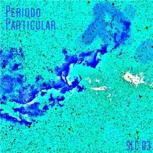 Periodo Particular - Periodo Particular