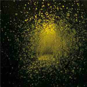 The Antlers - Burst Apart (Deluxe Version)
