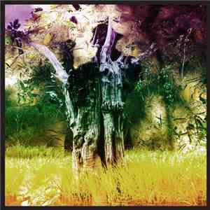 Animal Collective - Meeting Of The Waters