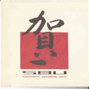 SBU (Strategic Business Unit) - SBU (Strategic Business Unit)