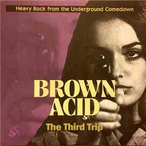 Various - Brown Acid: The Third Trip