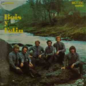 Bois Y Felin - Bois Y Felin
