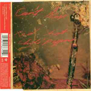 Red Hot Chili Peppers - Can't Stop