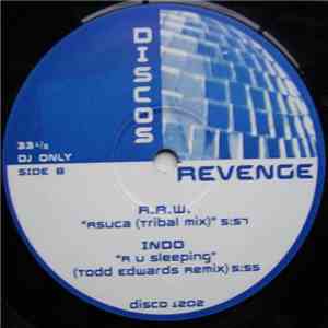 Various - Disco's Revenge 02
