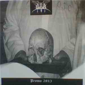 Vultur - Promo 2013