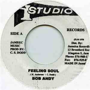 Bob Andy - Feeling Soul