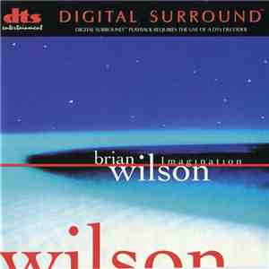 Brian Wilson - Imagination