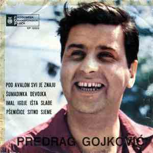 Predrag Gojković - Pod Avalom Svi Je Znaju