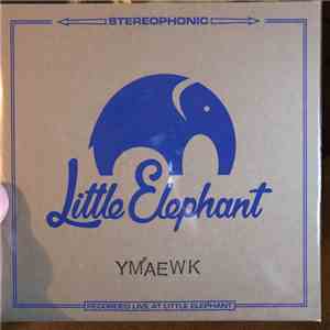 You, Me, And Everyone We Know - Little Elephant Sessions