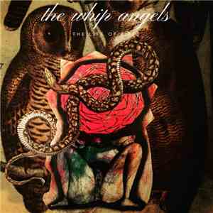 The Whip Angels - The Life Of Birds