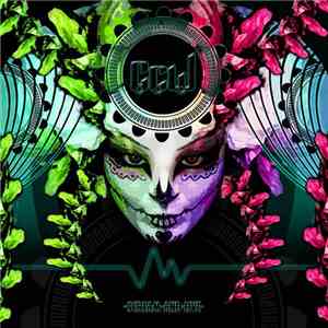 CCW - Scream And Live