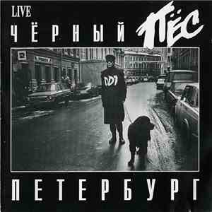 ДДТ - Чёрный Пёс Петербург