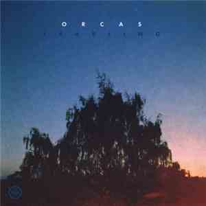 Orcas - Yearling