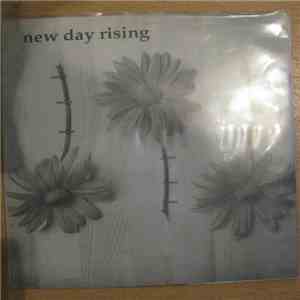 New Day Rising - T.V. Dinners